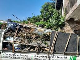 Best Carpet Removal and Disposal  in Riverview, MO